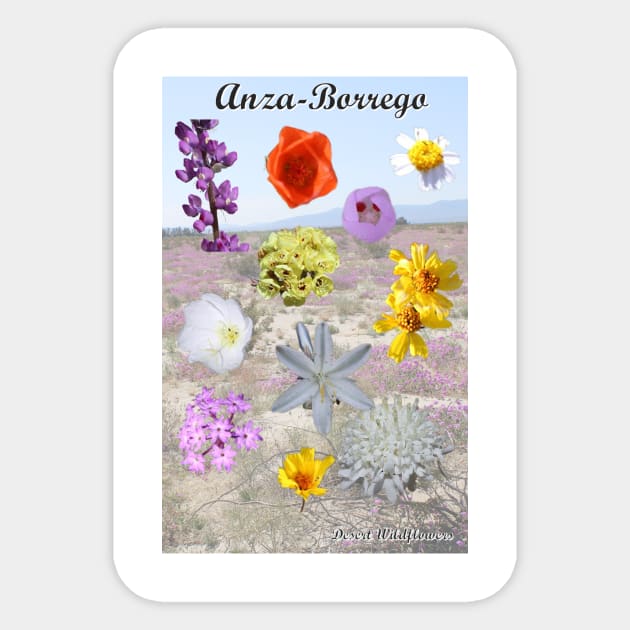 Anza-Borrego Desert Wildflowers Sticker by Battlefoxx Living Earth